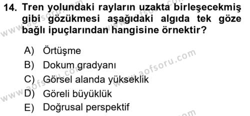 İnsan ve Davranış Dersi 2022 - 2023 Yılı (Vize) Ara Sınavı 14. Soru