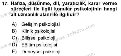 İnsan ve Davranış Dersi 2022 - 2023 Yılı (Vize) Ara Sınavı 17. Soru