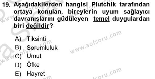 İnsan ve Davranış Dersi 2022 - 2023 Yılı (Vize) Ara Sınavı 19. Soru