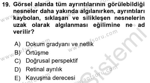 İnsan ve Davranış Dersi 2022 - 2023 Yılı (Final) Dönem Sonu Sınavı 19. Soru