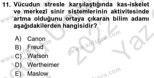 İnsan ve Davranış Dersi 2022 - 2023 Yılı Yaz Okulu Sınavı 11. Soru