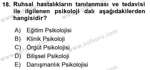 İnsan ve Davranış Dersi 2022 - 2023 Yılı Yaz Okulu Sınavı 18. Soru