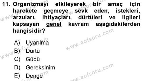 İnsan ve Davranış Dersi 2023 - 2024 Yılı (Vize) Ara Sınavı 11. Soru