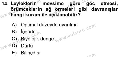 İnsan ve Davranış Dersi 2023 - 2024 Yılı (Vize) Ara Sınavı 14. Soru