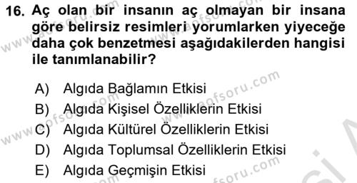 İnsan ve Davranış Dersi 2023 - 2024 Yılı (Vize) Ara Sınavı 16. Soru