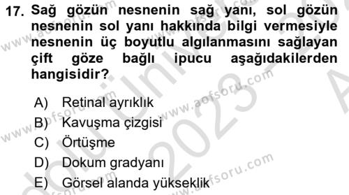 İnsan ve Davranış Dersi 2023 - 2024 Yılı (Vize) Ara Sınavı 17. Soru