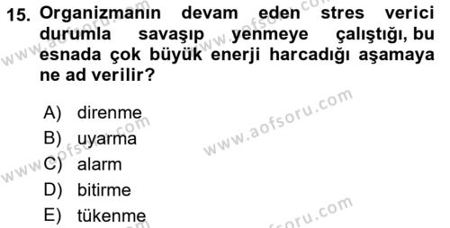 İnsan ve Davranış Dersi 2023 - 2024 Yılı (Final) Dönem Sonu Sınavı 15. Soru