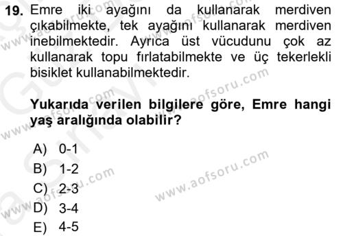 Yaşam Boyu Büyüme ve Gelişim Dersi 2018 - 2019 Yılı (Vize) Ara Sınavı 19. Soru