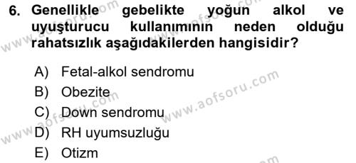 Yaşam Boyu Büyüme ve Gelişim Dersi 2018 - 2019 Yılı (Vize) Ara Sınavı 6. Soru