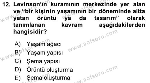 Yaşam Boyu Büyüme ve Gelişim Dersi 2018 - 2019 Yılı Yaz Okulu Sınavı 12. Soru