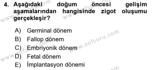 Yaşam Boyu Büyüme ve Gelişim Dersi 2018 - 2019 Yılı Yaz Okulu Sınavı 4. Soru