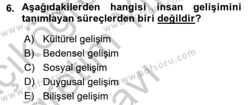 Yaşam Boyu Büyüme ve Gelişim Dersi 2018 - 2019 Yılı Yaz Okulu Sınavı 6. Soru