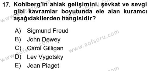 Yaşam Boyu Büyüme ve Gelişim Dersi 2019 - 2020 Yılı (Vize) Ara Sınavı 17. Soru