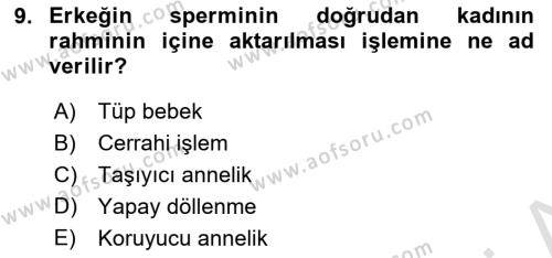 Yaşam Boyu Büyüme ve Gelişim Dersi 2019 - 2020 Yılı (Vize) Ara Sınavı 9. Soru