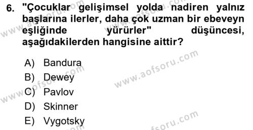 Yaşam Boyu Büyüme ve Gelişim Dersi 2020 - 2021 Yılı Yaz Okulu Sınavı 6. Soru