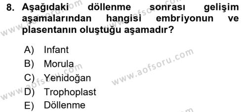 Yaşam Boyu Büyüme ve Gelişim Dersi 2021 - 2022 Yılı (Vize) Ara Sınavı 8. Soru