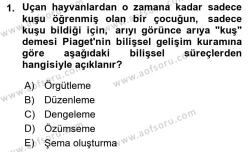 Yaşam Boyu Büyüme ve Gelişim Dersi 2021 - 2022 Yılı Yaz Okulu Sınavı 1. Soru