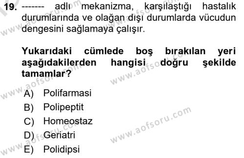 Yaşam Boyu Büyüme ve Gelişim Dersi 2022 - 2023 Yılı Yaz Okulu Sınavı 19. Soru