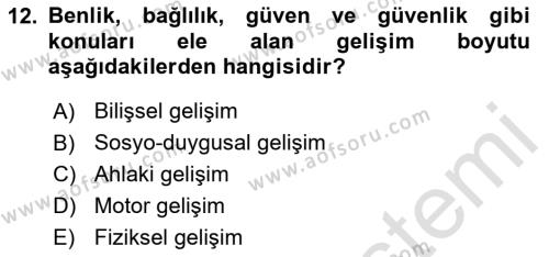 Yaşam Boyu Büyüme ve Gelişim Dersi 2024 - 2025 Yılı (Vize) Ara Sınavı 12. Soru