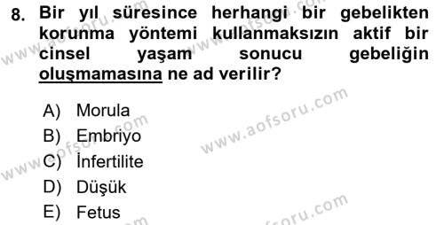 Yaşam Boyu Büyüme ve Gelişim Dersi 2024 - 2025 Yılı (Vize) Ara Sınavı 8. Soru