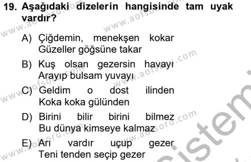 Halk Edebiyatına Giriş 1 Dersi 2012 - 2013 Yılı (Vize) Ara Sınavı 19. Soru