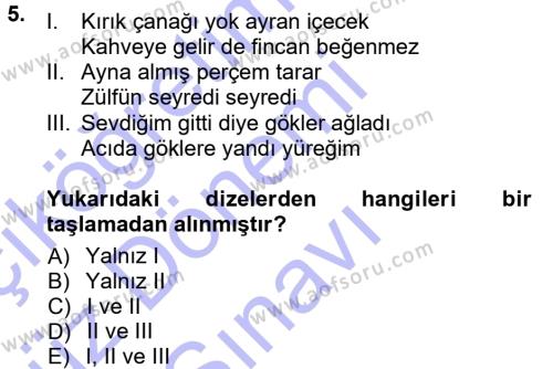 Halk Edebiyatına Giriş 1 Dersi 2012 - 2013 Yılı (Final) Dönem Sonu Sınavı 5. Soru