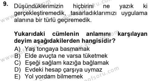 Halk Edebiyatına Giriş 1 Dersi 2012 - 2013 Yılı (Final) Dönem Sonu Sınavı 9. Soru