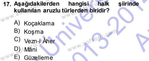 Halk Edebiyatına Giriş 1 Dersi 2013 - 2014 Yılı (Vize) Ara Sınavı 17. Soru