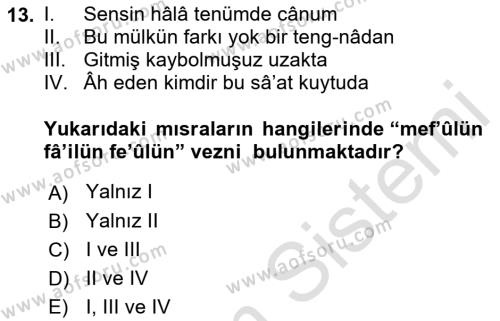 Eski Türk Edebiyatına Giriş: Biçim ve Ölçü Dersi 2022 - 2023 Yılı Yaz Okulu Sınavı 13. Soru