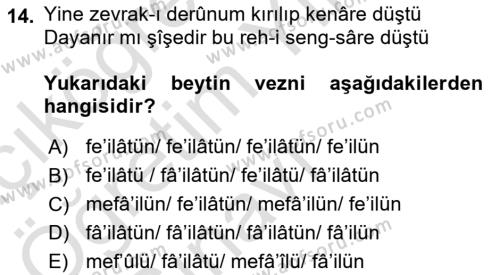 Eski Türk Edebiyatına Giriş: Biçim ve Ölçü Dersi 2022 - 2023 Yılı Yaz Okulu Sınavı 14. Soru