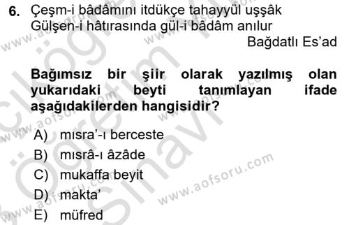 Eski Türk Edebiyatına Giriş: Biçim ve Ölçü Dersi 2022 - 2023 Yılı Yaz Okulu Sınavı 6. Soru