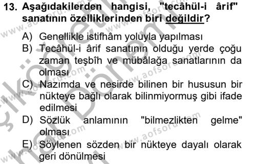 Eski Türk Edebiyatına Giriş: Söz Sanatları Dersi 2012 - 2013 Yılı (Vize) Ara Sınavı 13. Soru