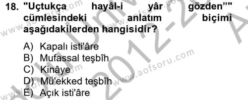 Eski Türk Edebiyatına Giriş: Söz Sanatları Dersi 2012 - 2013 Yılı (Vize) Ara Sınavı 18. Soru