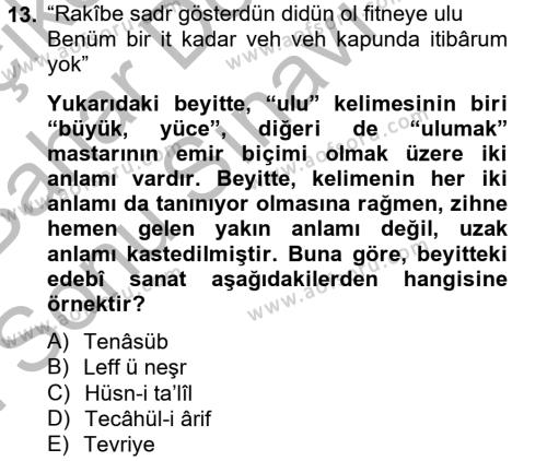 Eski Türk Edebiyatına Giriş: Söz Sanatları Dersi 2012 - 2013 Yılı (Final) Dönem Sonu Sınavı 13. Soru