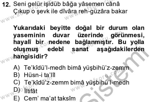 Eski Türk Edebiyatına Giriş: Söz Sanatları Dersi 2013 - 2014 Yılı (Vize) Ara Sınavı 12. Soru