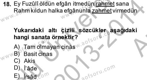 Eski Türk Edebiyatına Giriş: Söz Sanatları Dersi 2013 - 2014 Yılı (Vize) Ara Sınavı 18. Soru