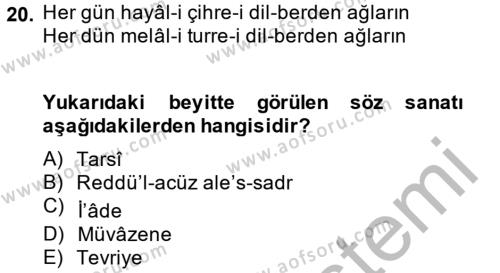 Eski Türk Edebiyatına Giriş: Söz Sanatları Dersi 2013 - 2014 Yılı (Vize) Ara Sınavı 20. Soru