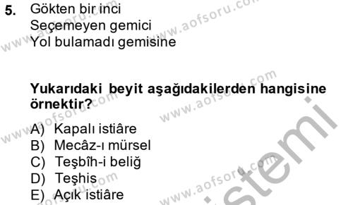 Eski Türk Edebiyatına Giriş: Söz Sanatları Dersi 2013 - 2014 Yılı (Vize) Ara Sınavı 5. Soru