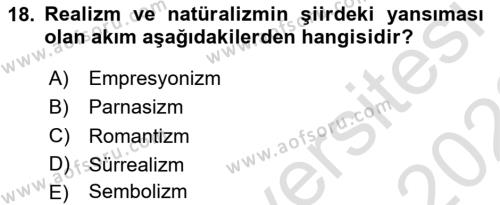 Batı Edebiyatında Akımlar 1 Dersi 2021 - 2022 Yılı Yaz Okulu Sınavı 18. Soru