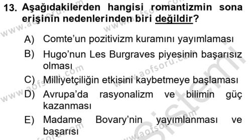 Batı Edebiyatında Akımlar 1 Dersi 2022 - 2023 Yılı Yaz Okulu Sınavı 13. Soru