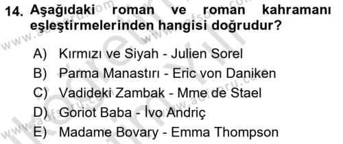 Batı Edebiyatında Akımlar 1 Dersi 2022 - 2023 Yılı Yaz Okulu Sınavı 14. Soru