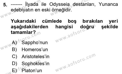 Batı Edebiyatında Akımlar 1 Dersi 2022 - 2023 Yılı Yaz Okulu Sınavı 5. Soru