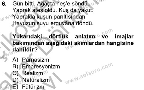 Batı Edebiyatında Akımlar 2 Dersi 2012 - 2013 Yılı (Vize) Ara Sınavı 6. Soru