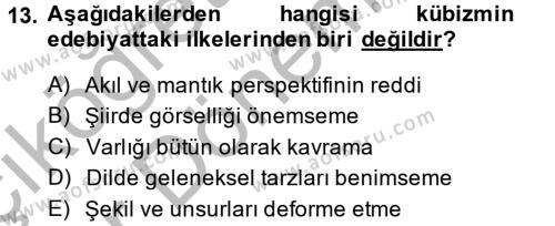 Batı Edebiyatında Akımlar 2 Dersi 2013 - 2014 Yılı (Vize) Ara Sınavı 13. Soru