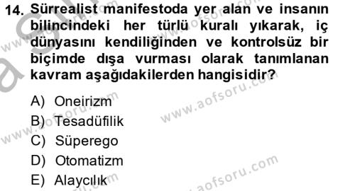 Batı Edebiyatında Akımlar 2 Dersi 2013 - 2014 Yılı (Vize) Ara Sınavı 14. Soru