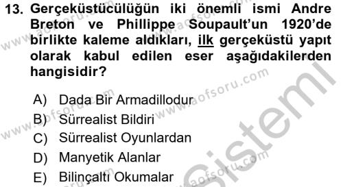 Batı Edebiyatında Akımlar 2 Dersi 2016 - 2017 Yılı (Vize) Ara Sınavı 13. Soru