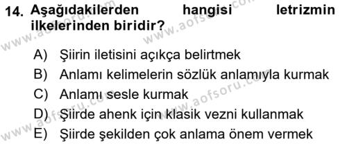 Batı Edebiyatında Akımlar 2 Dersi 2021 - 2022 Yılı (Vize) Ara Sınavı 14. Soru