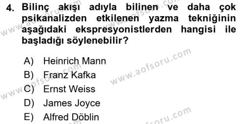 Batı Edebiyatında Akımlar 2 Dersi 2021 - 2022 Yılı (Vize) Ara Sınavı 4. Soru