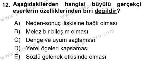 Batı Edebiyatında Akımlar 2 Dersi 2021 - 2022 Yılı Yaz Okulu Sınavı 12. Soru