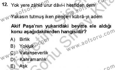 Yeni Türk Edebiyatına Giriş 1 Dersi 2012 - 2013 Yılı (Final) Dönem Sonu Sınavı 12. Soru